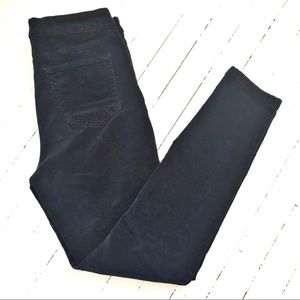 Tribal Velvet Navy Blue Straight Pants Sz 8